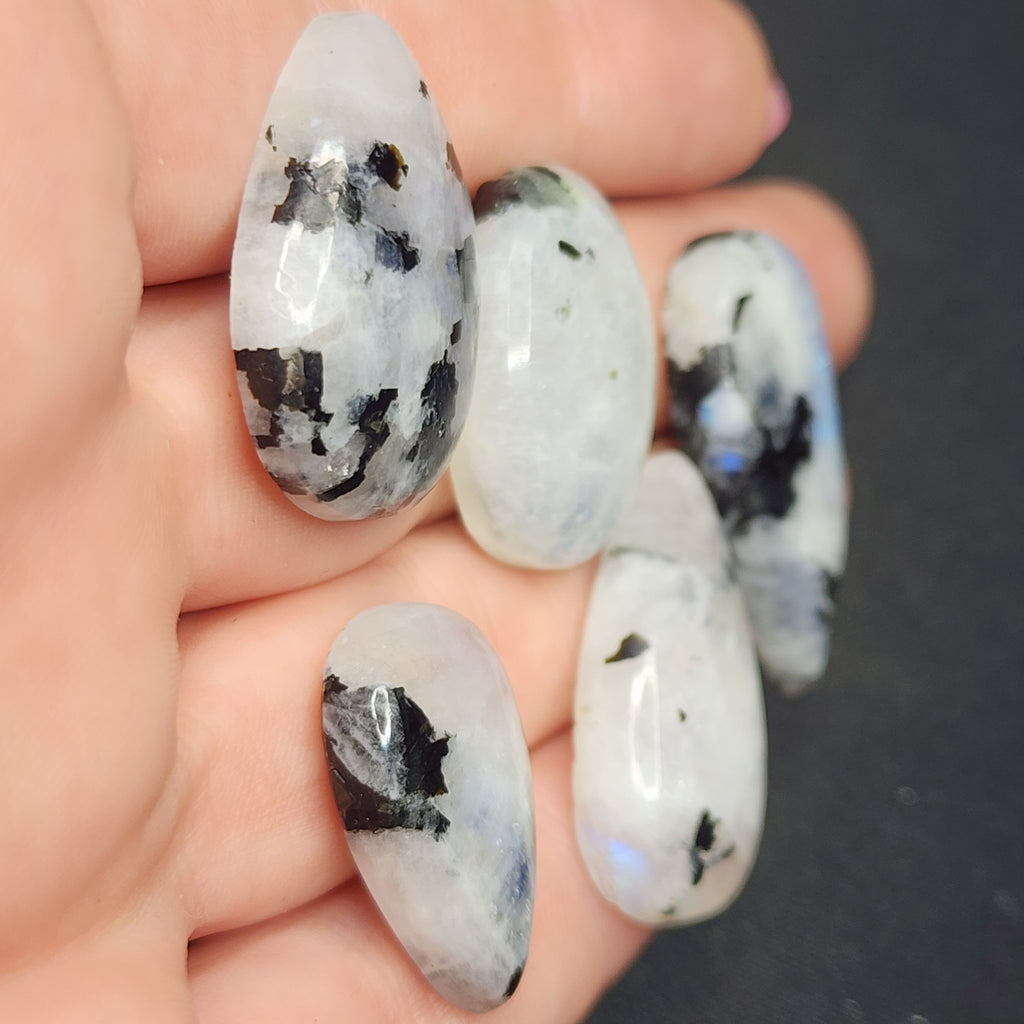 Rainbow Moonstone lot L