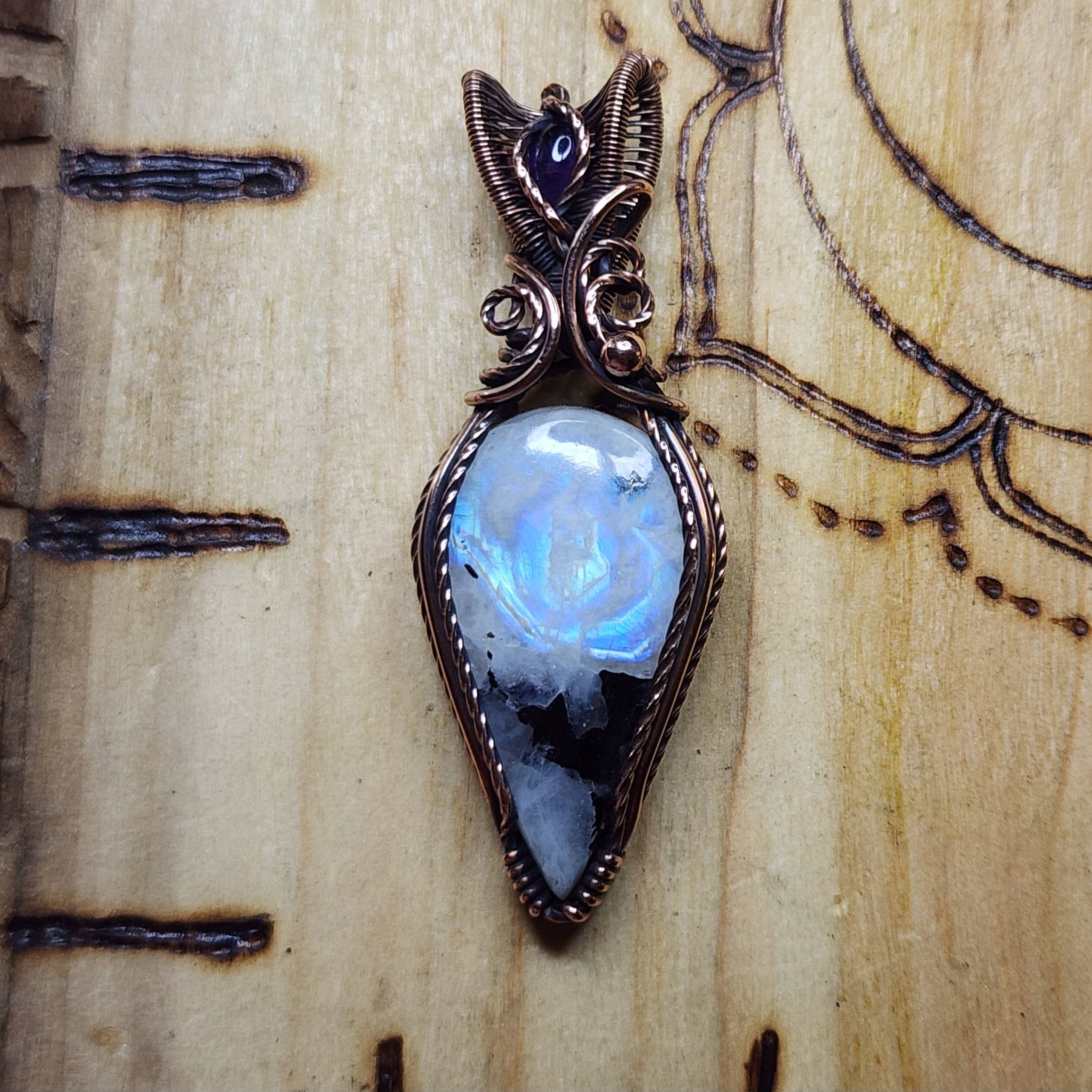 Amaryllis